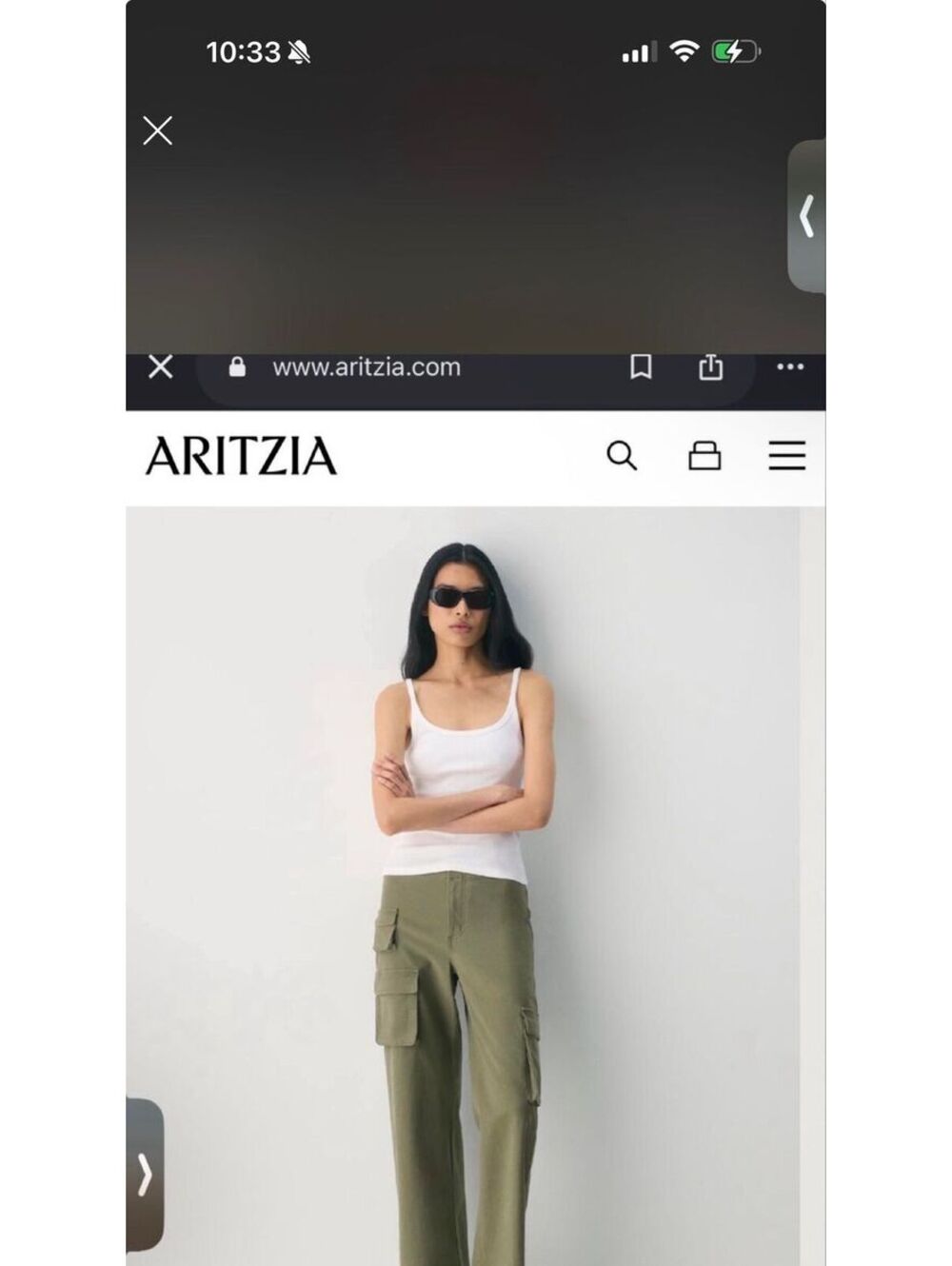 Wilfred Free by Aritzia Cargo pants